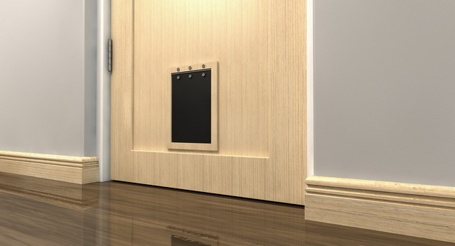 Cat Flap Installation Egham, Englefield Green, TW20
