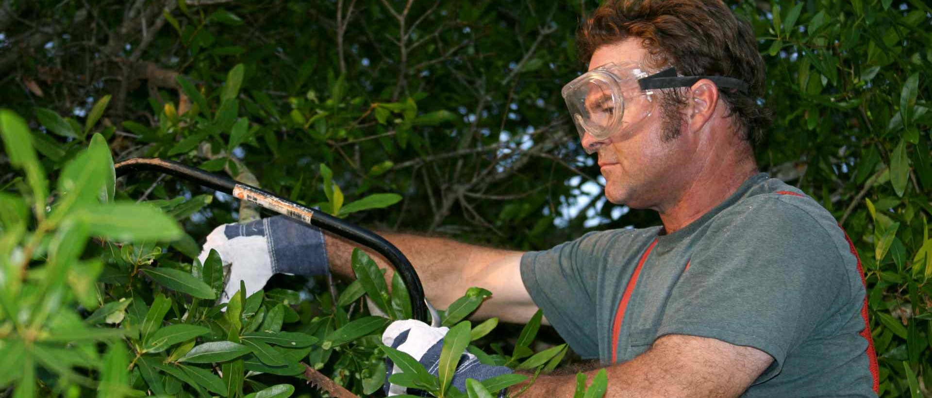 garden clearance TW20