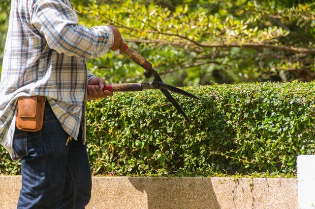 Garden Maintenance Egham, Englefield Green, TW20